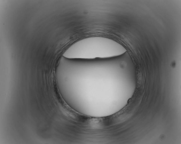 X0000091510126200708170957