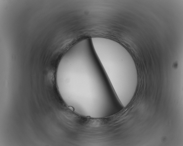 X0000091510127200708170957