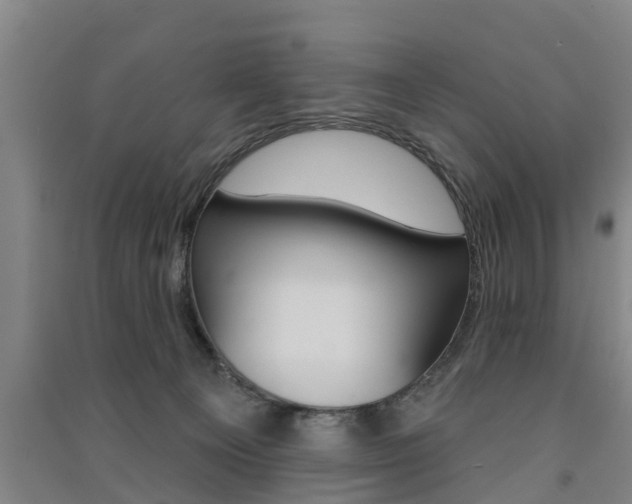 X0000091510129200708170957