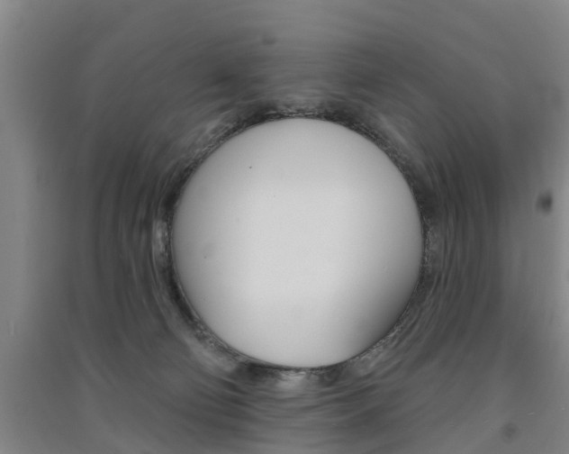 X0000091510130200708170957