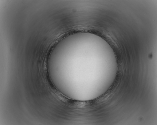 X0000091510131200708170957
