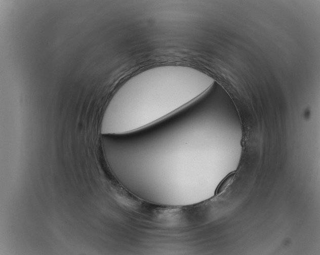 X0000091510132200708170957