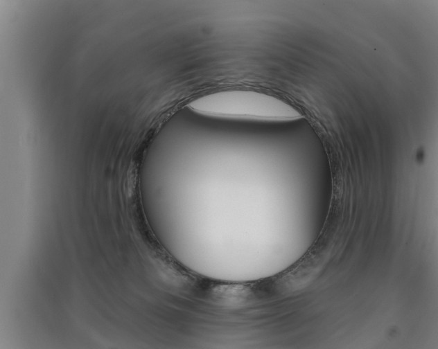 X0000091510133200708170957