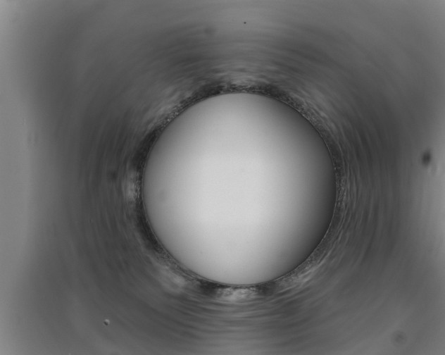 X0000091510135200708170957