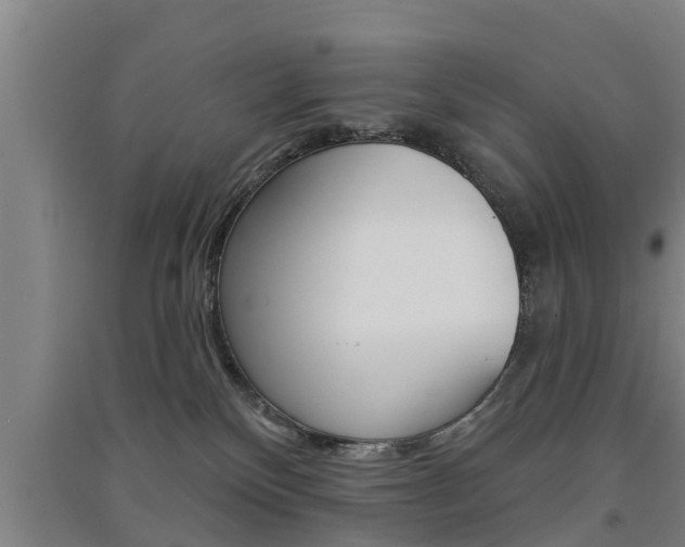 X0000091510136200708170957