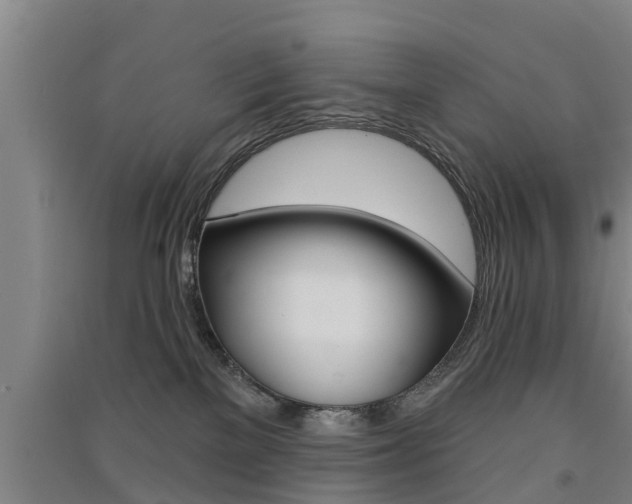 X0000091510137200708170957
