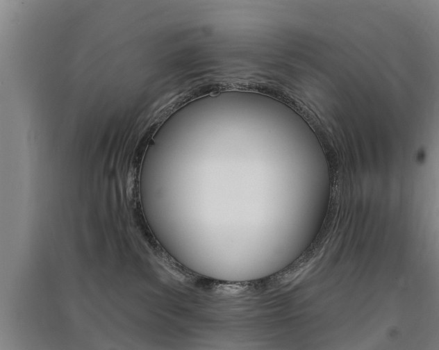 X0000091510139200708170957