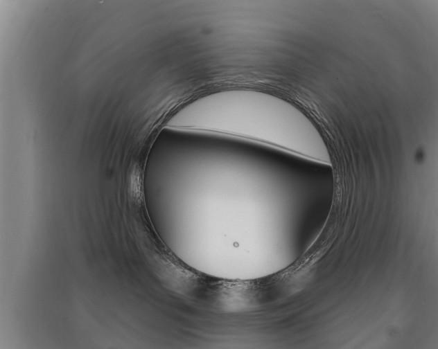 X0000091510143200708170957