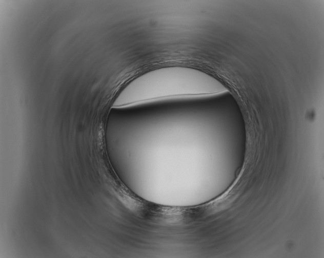 X0000091510144200708170957
