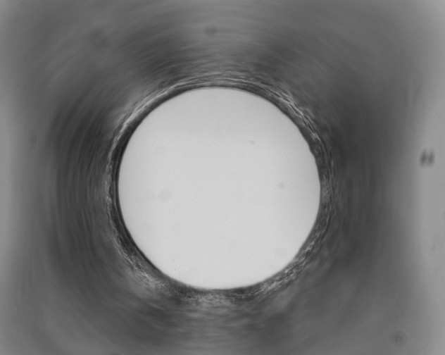 X0000091510146200708170956