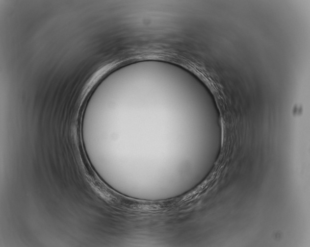 X0000091510147200708170956