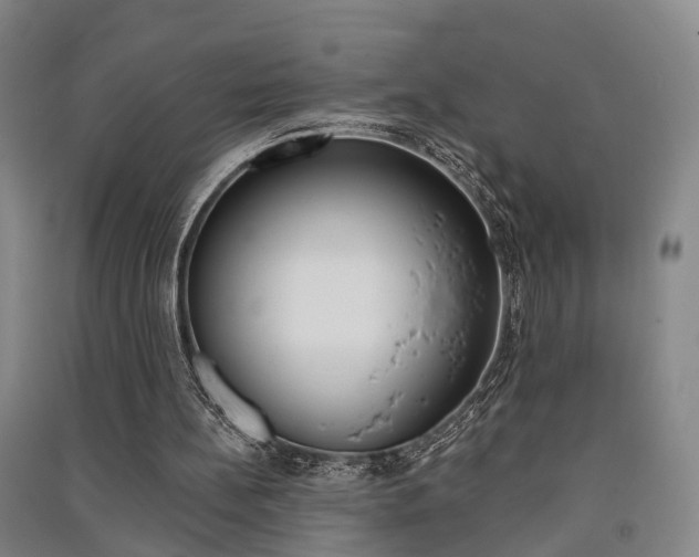 X0000091510148200708170956