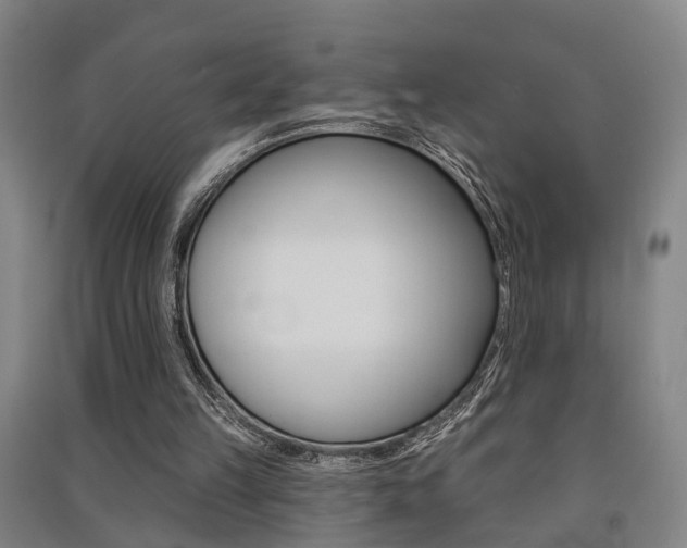 X0000091510149200708170956