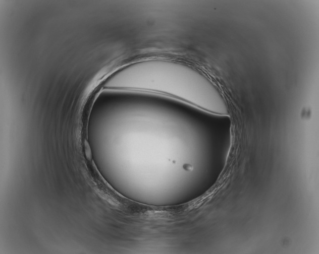 X0000091510150200708170956