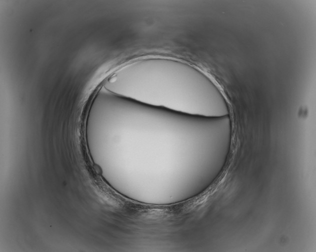 X0000091510151200708170956