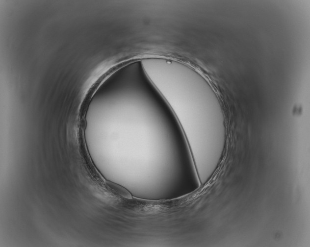 X0000091510152200708170956