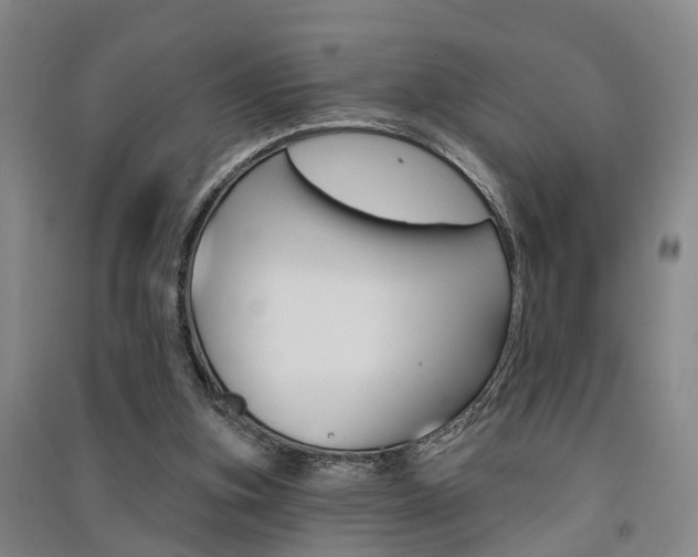 X0000091510155200708170956