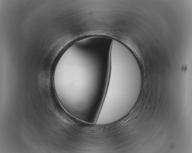 X0000091510156200708170956