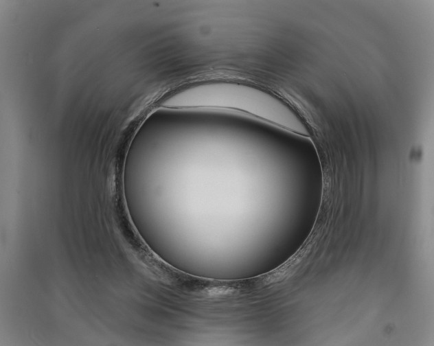 X0000091510158200708170956