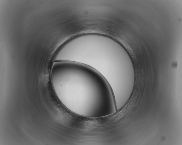 X0000091510160200708170956