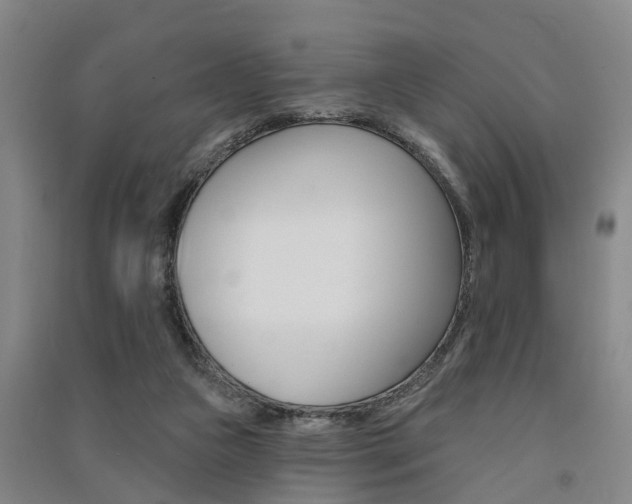 X0000091510161200708170956