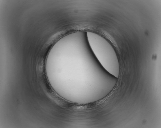 X0000091510163200708170956