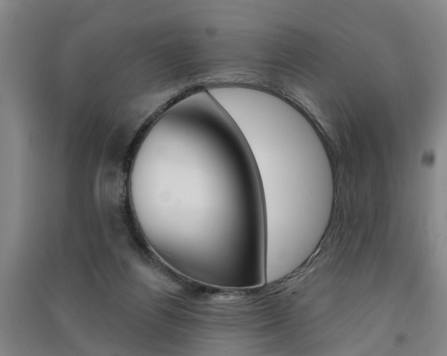 X0000091510164200708170956
