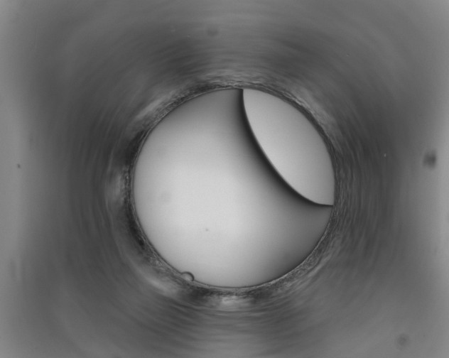 X0000091510165200708170956