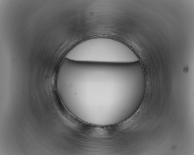 X0000091510166200708170956