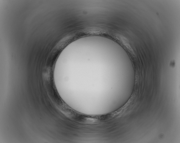 X0000091510167200708170956