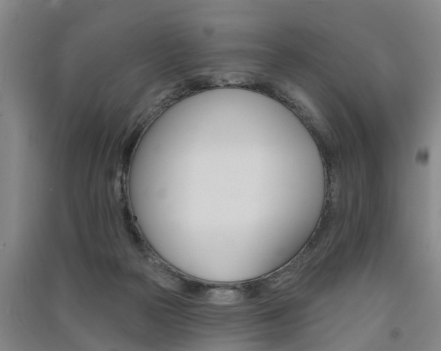 X0000091510169200708170956