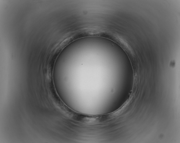 X0000091510170200708170956