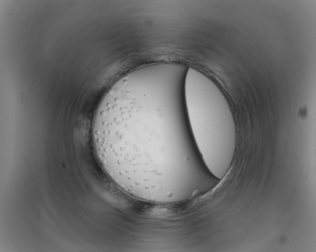 X0000091510171200708170956
