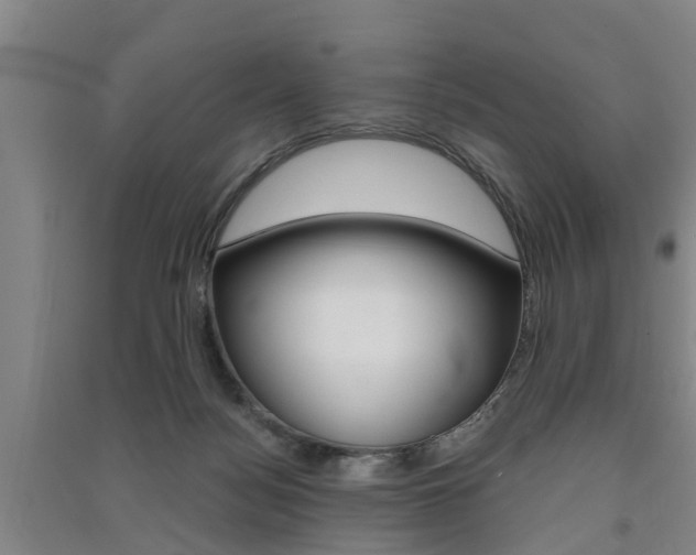 X0000091510172200708170956