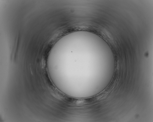 X0000091510173200708170956
