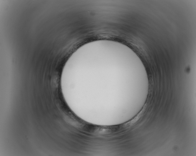 X0000091510174200708170956