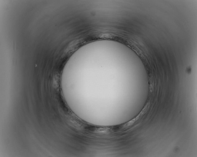 X0000091510175200708170956