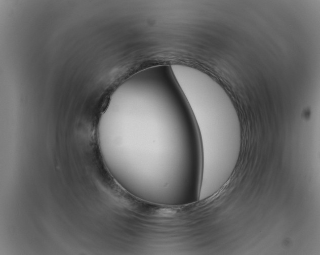 X0000091510176200708170956