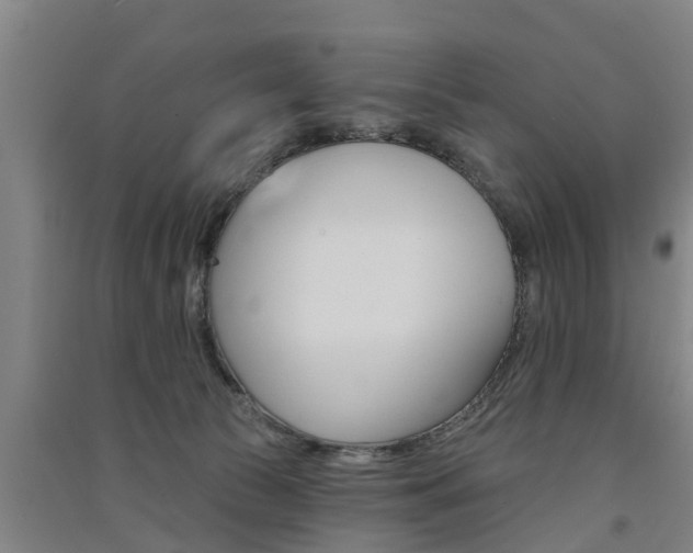 X0000091510177200708170956