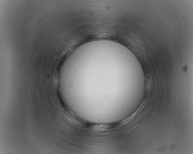 X0000091510179200708170956