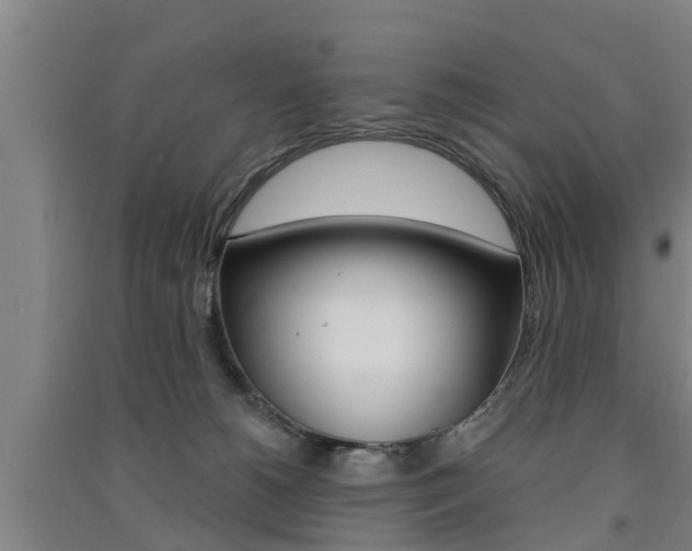 X0000091510180200708170956