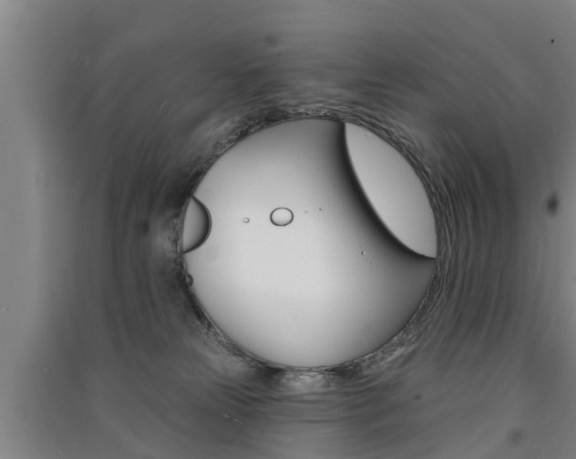 X0000091510181200708170956