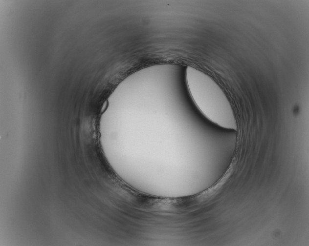 X0000091510182200708170956