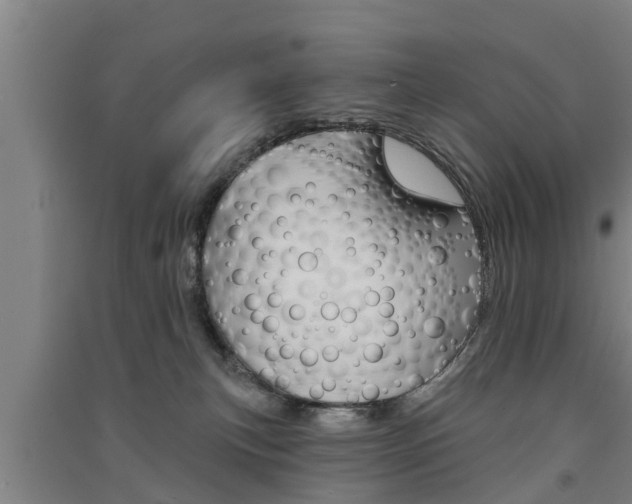 X0000091510183200708170956
