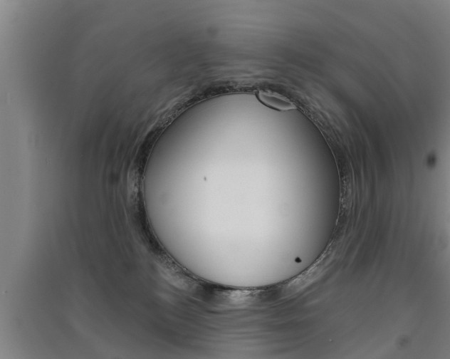 X0000091510184200708170956
