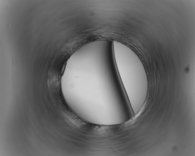 X0000091510186200708170956