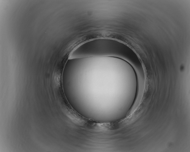 X0000091510188200708170956