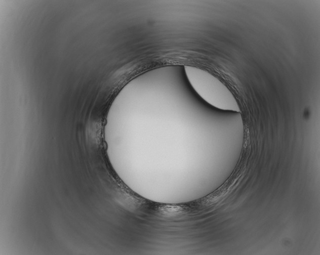 X0000091510189200708170956
