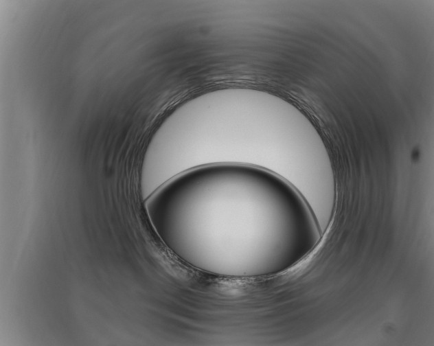 X0000091510190200708170957