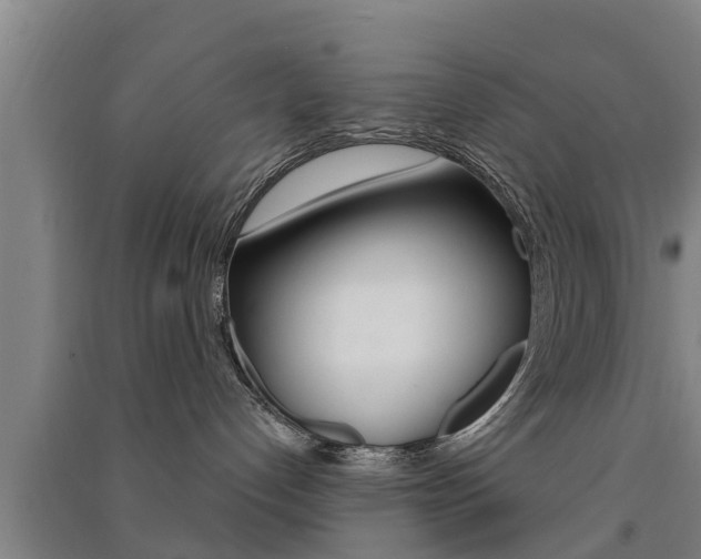X0000091510192200708170957